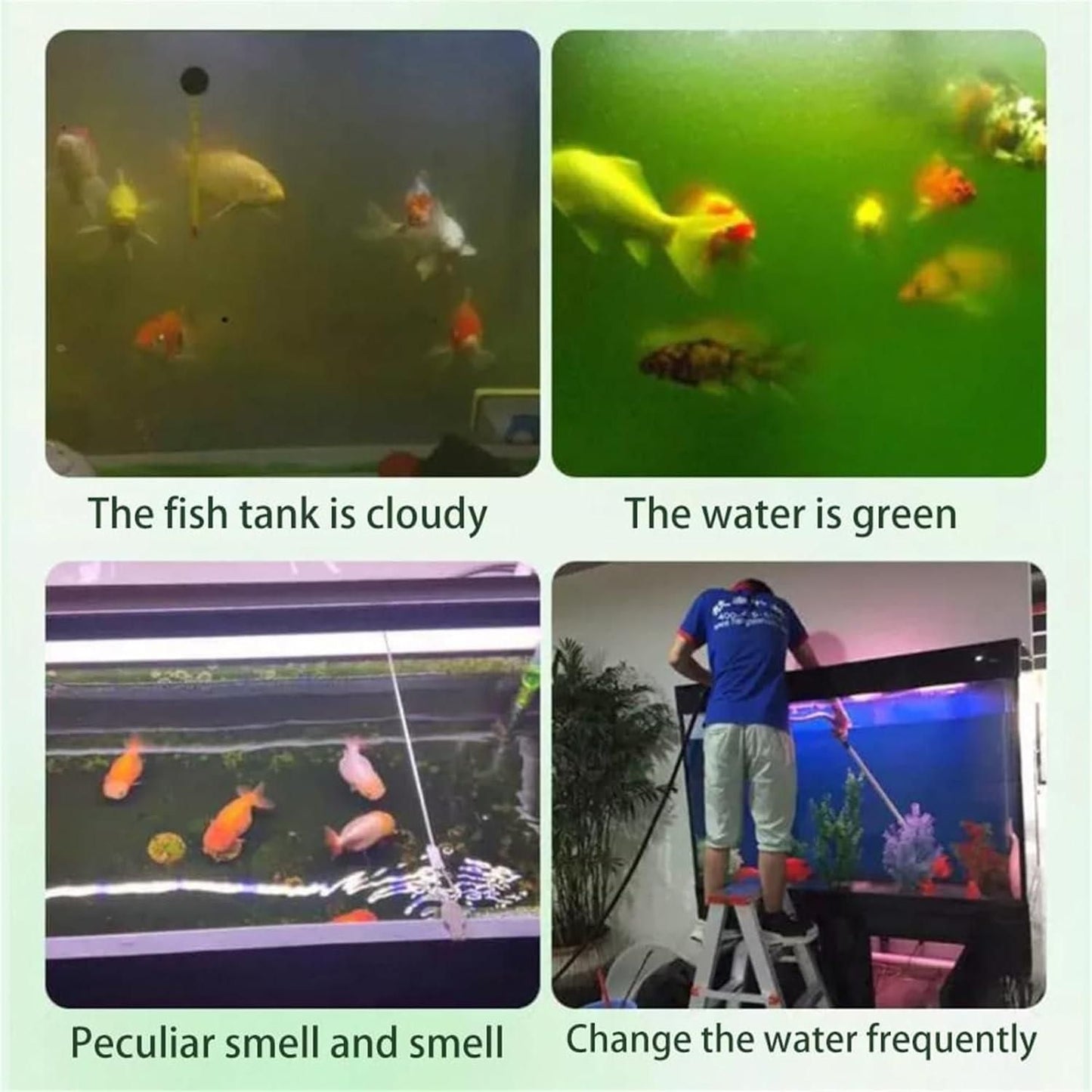 YegBong™Water Purification Tablets For Fish Tank (150 Tablets)+Free Consultation Call