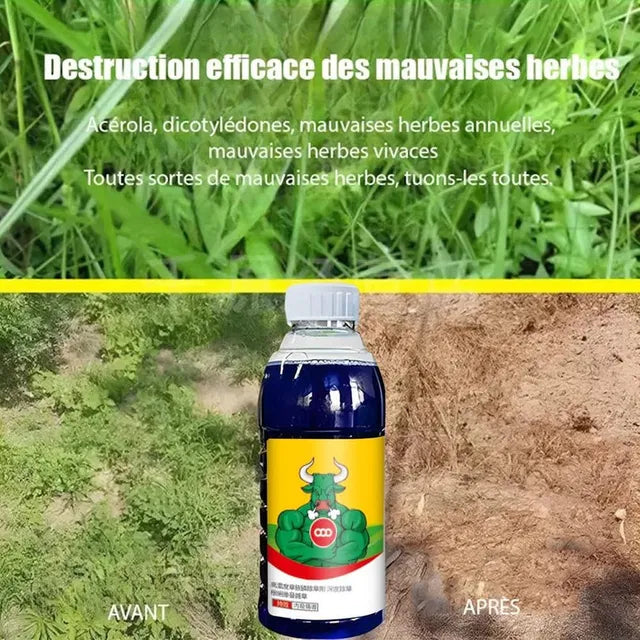 High-Concentration Glufosinate Herbicide All Crop (Pack of 2)