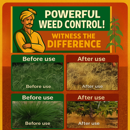High-Concentration Glufosinate Herbicide All Crop (Pack of 2)