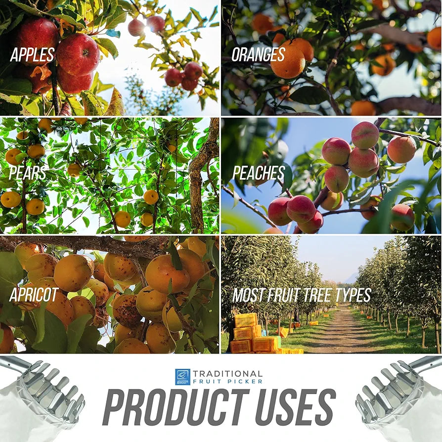 Telescopic Fruit Picker Tool with Catch Basket & Extendable Handle