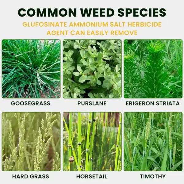 High-Concentration Glufosinate Herbicide All Crop (Pack of 2)