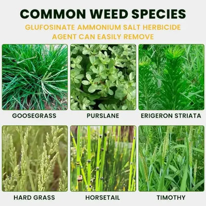 High-Concentration Glufosinate Herbicide All Crop (Pack of 2)