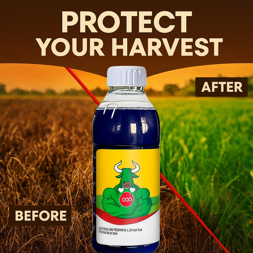 High-Concentration Glufosinate Herbicide All Crop (Pack of 2)