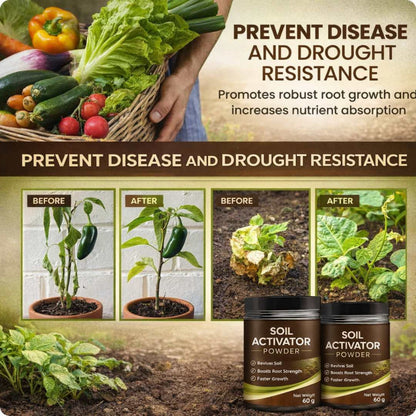 TruGrow™ Soil Activated Treasure Premium Soil Activator 200gram (Pack of 2)